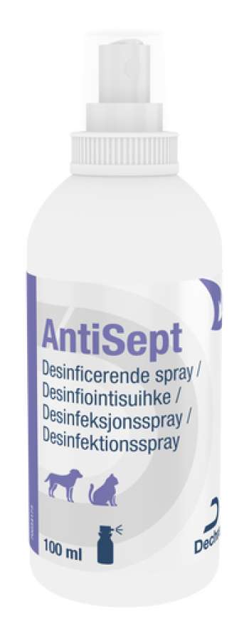 AntiSept - Flaska 100 ml