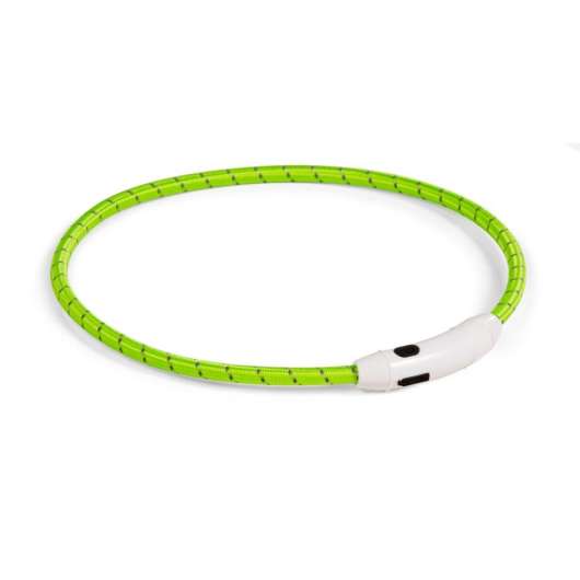 Basic LED-halsband till hund Nylon