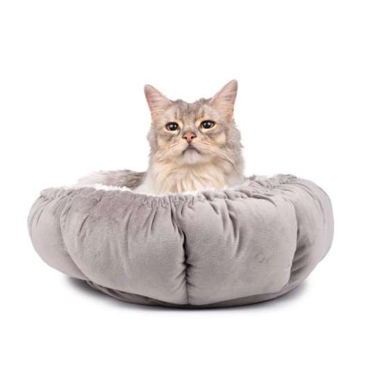 Basic Multifunctional Cat Bed