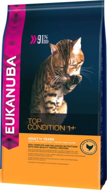 Cat Top Condition - 10 kg