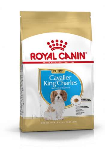Cavalier King Charles Puppy Torrfoder för hundvalp - 1