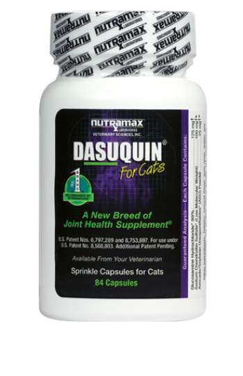 Dasuquin Strökapslar För Ledhälsa - 60 kapslar