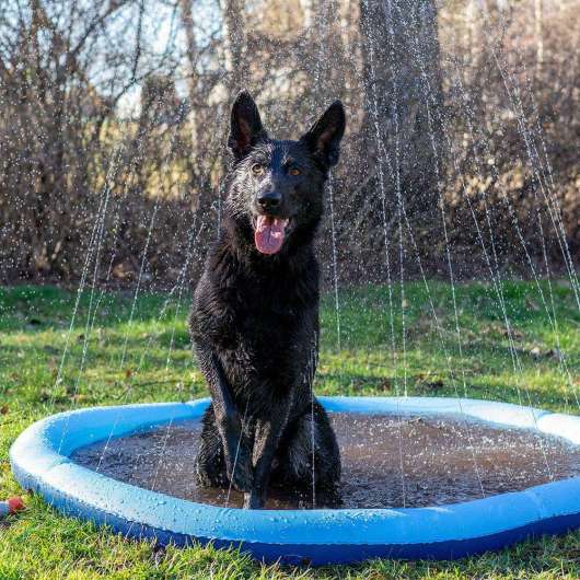 Dog Splash Pool - 150 cm