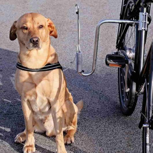 Dogman Cykelfäste för Hund