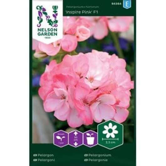 Fröer Nelson Garden Pelargon Inspire Pink F1 Rosa
