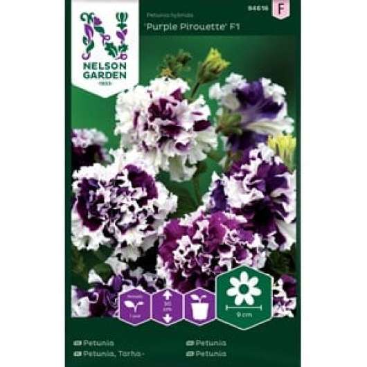 Fröer Nelson Garden Petunia Purple Pirouette F1 Dubbel