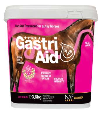 GastriAid - 3