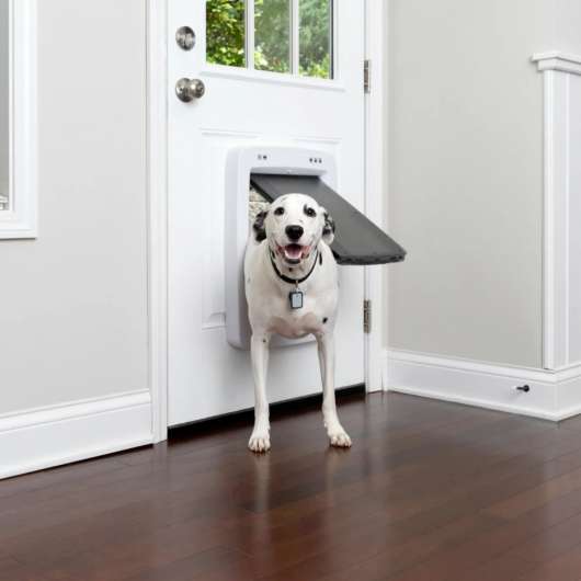 Husdjursdörr Smart Door L, < 45 kg - Vit/Transparent