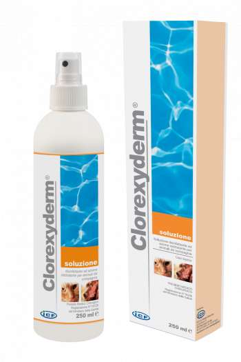 ICF Clorexyderm rengörande spray - 250 ml