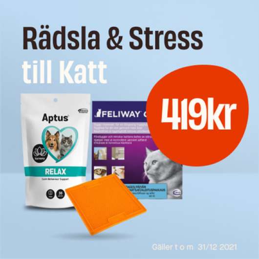 Julpaket - Rädsla & Stress - Rädsla & Stress Katt