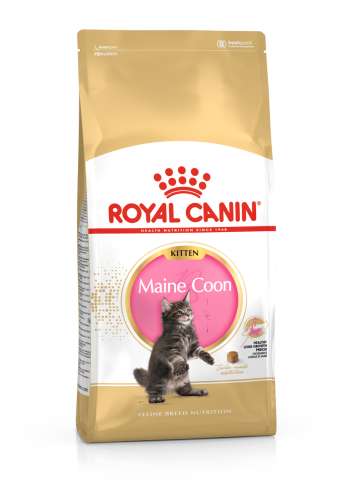 Maine Coon Kitten Torrfoder för Kattunge - 10 kg
