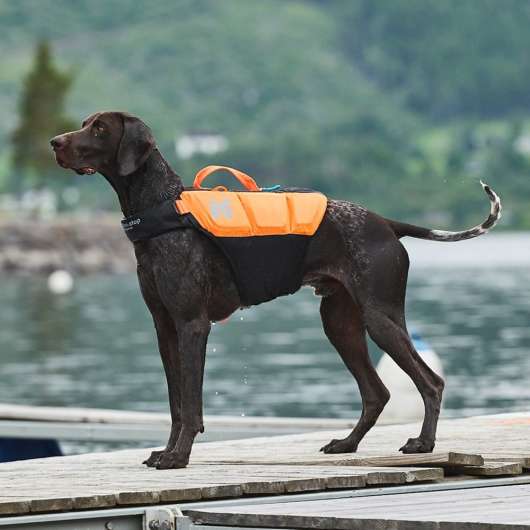 Non-Stop Dogwear Protector Flytväst till hund Orange & Svart (7)