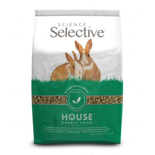 Selective House Rabbit