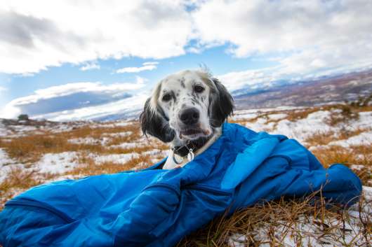 Sleeping Bag for Dogs - Large