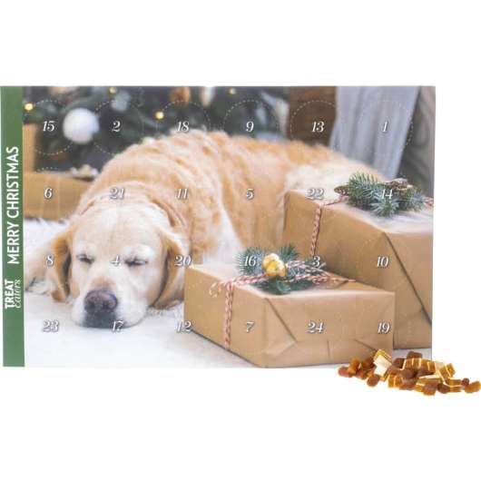 Treateaters Julkalender Hund Mini Treats
