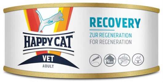 Vet Diet Recovery Våtfoder för Katter  - 6 x 100 g